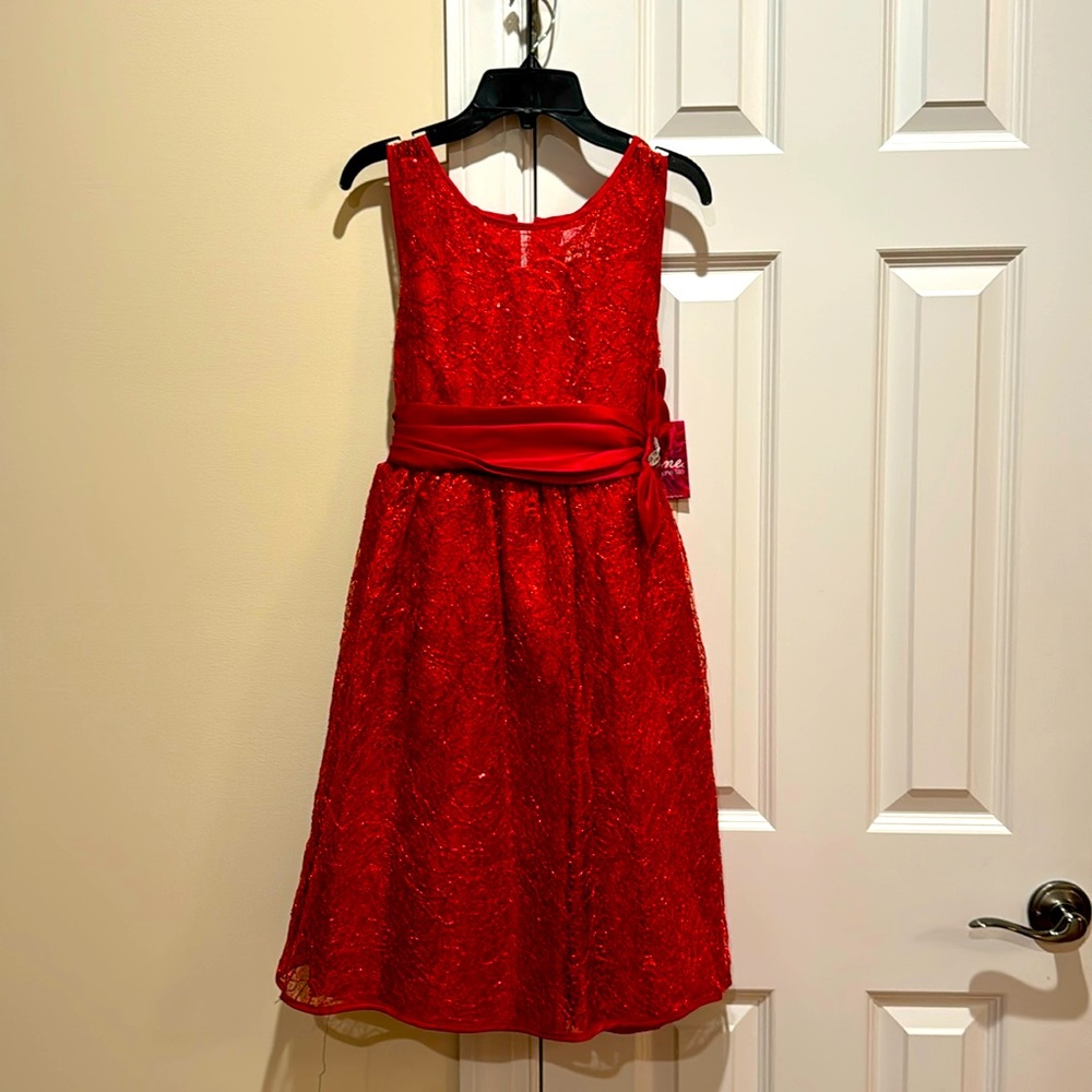 NWT Holiday Party Dress